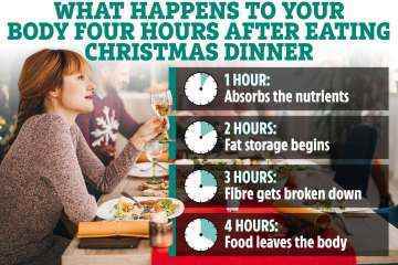 Hora a hora lo que le hace a tu cuerpo tu cena navideña en tan solo 4 horas
