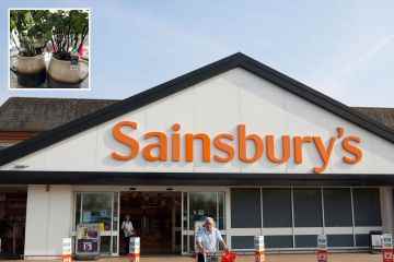 Los compradores de Sainsbury's compiten para comprar impresionantes plantas de £ 25 que escanean a solo 1p