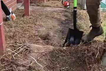 Jardinero profesional descubre un camino secreto que ha estado enterrado bajo el barro durante años