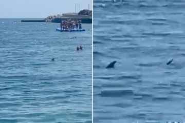 Momento de terror: dos tiburones fueron vistos merodeando por la playa española mientras los nadadores huyen