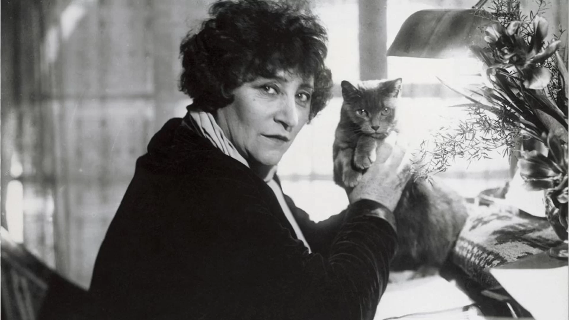 Desde Colette hasta Ilaria Tuti, escritoras y escritoras amantes de los gatos y los perros.  Las fotos