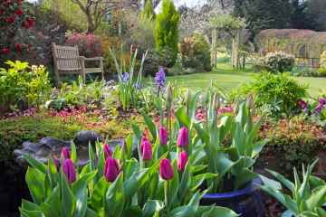 Des règles peu connues pour votre propre jardin qui peuvent vous valoir 12 000 £ d'amendes