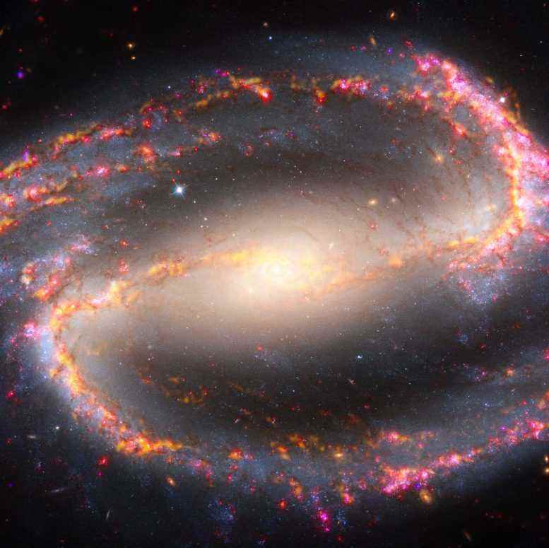 Gökada NGC 1300
