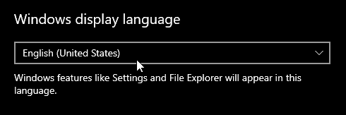 Windows Görüntü Diliniz, Windows'ta hemen hemen her yerde görünen dildir.