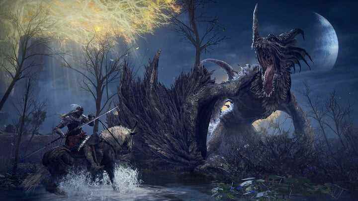Elden Ring'de bir karakter bir ejderhayla savaşır.