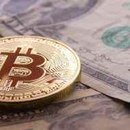 bitcoin ve dolar