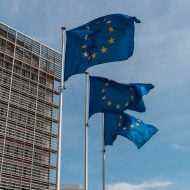 Avrupa bayrakları Brüksel'de dalgalanıyor.
