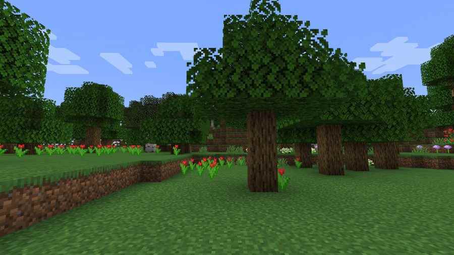 Ağaçlarla dolu bir orman alanı, birçok Minecraft biyomundan biri