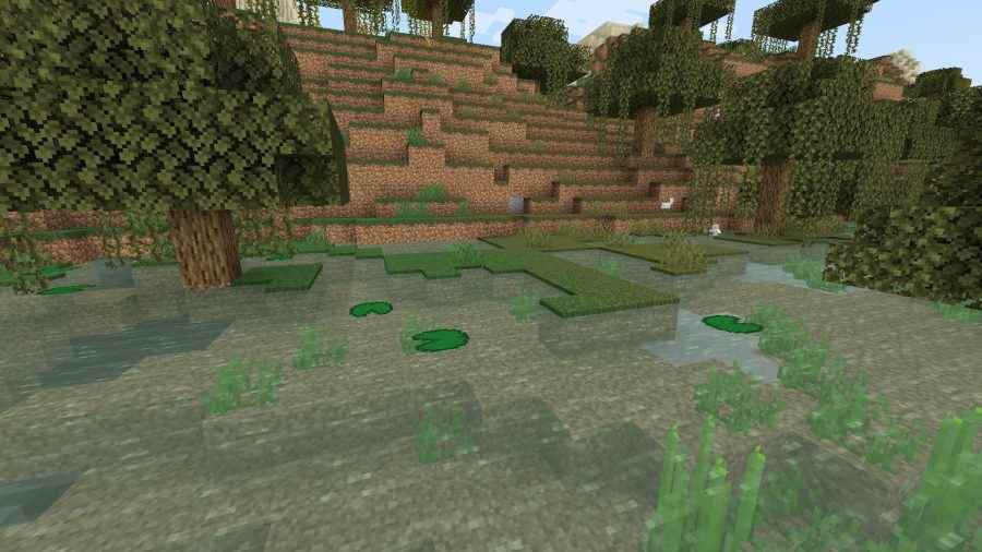Bataklığın ortasındaki küçük bir göl, birçok Minecraft biyomundan biri