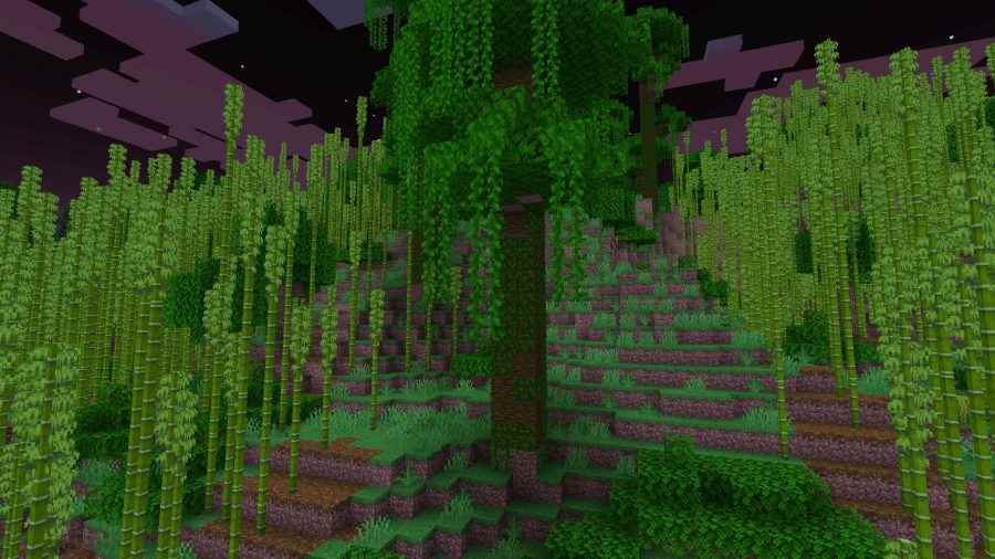 Bir ormanın ortasında uzun bir ağaç, birçok Minecraft biyomundan biri