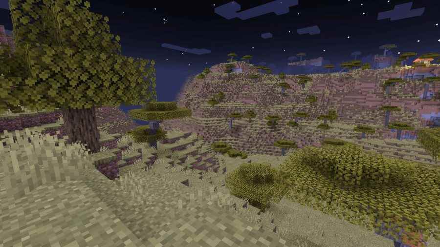 Savanın bir vadiye inen bir bölümü, birçok Minecraft biyomundan biri