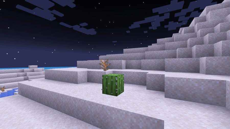 Bir çölün ortasında yalnız bir kaktüs, birçok Minecraft biyomundan biri