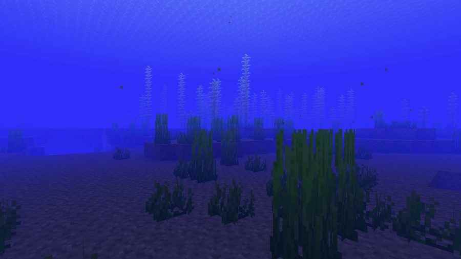 Derin okyanustan bir kare, birçok Minecraft biyomundan biri
