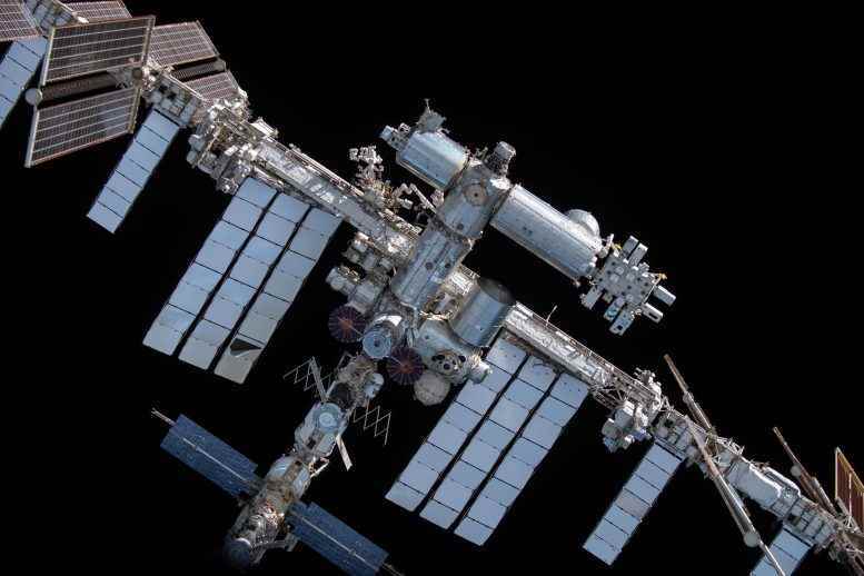 Uluslararası Uzay İstasyonu SpaceX Crew Dragon Endeavour'dan Görüntülendi