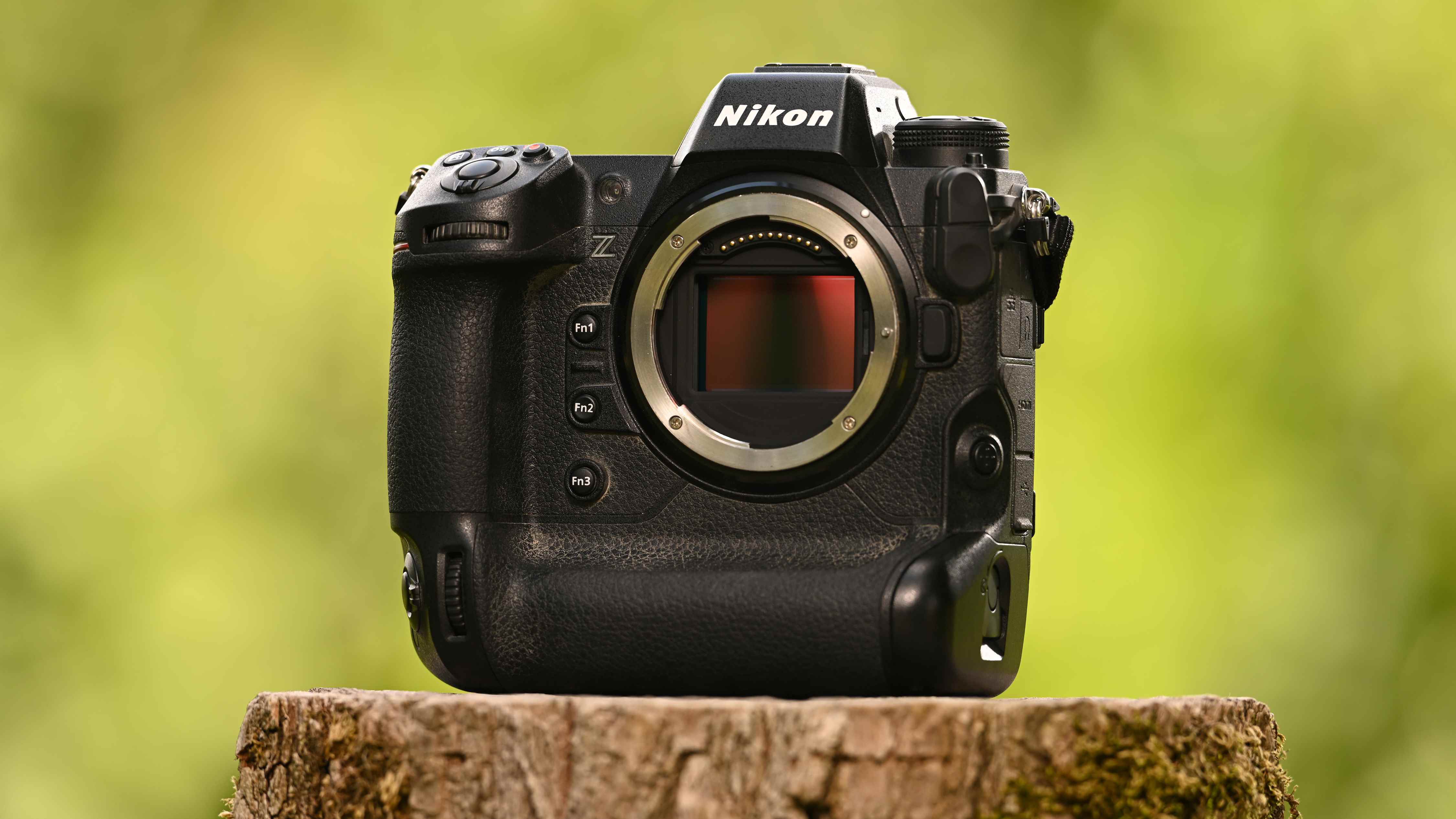 Bir ağaç gövdesine tünemiş Nikon Z9 kamera