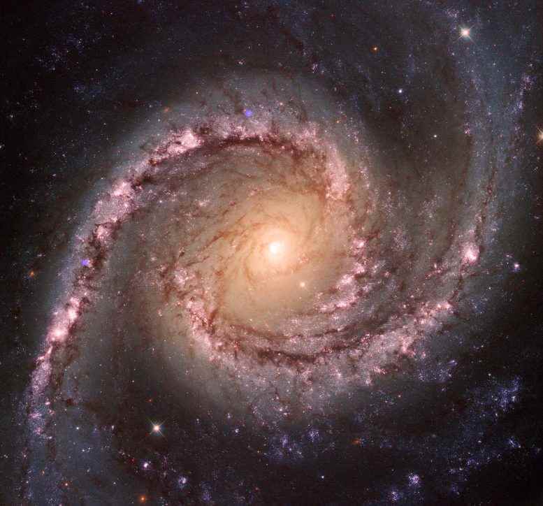 NGC 1566 Kompozit