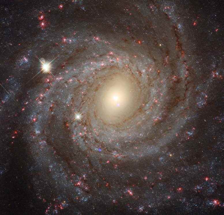 NGC 3344 Kompozit