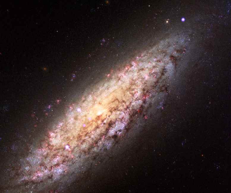 NGC 6503 Kompozit
