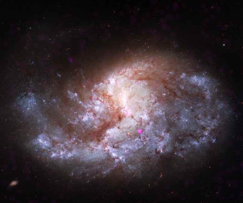 NGC 1385 Kompozit