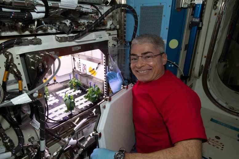 NASA Astronot ve Expedition 65 Uçuş Mühendisi Mark Vande Hei Bitki Habitat