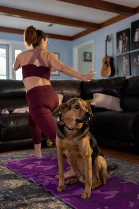 Apple Fitness+'ta yoga yapan bir kadını izleyen bir köpek.