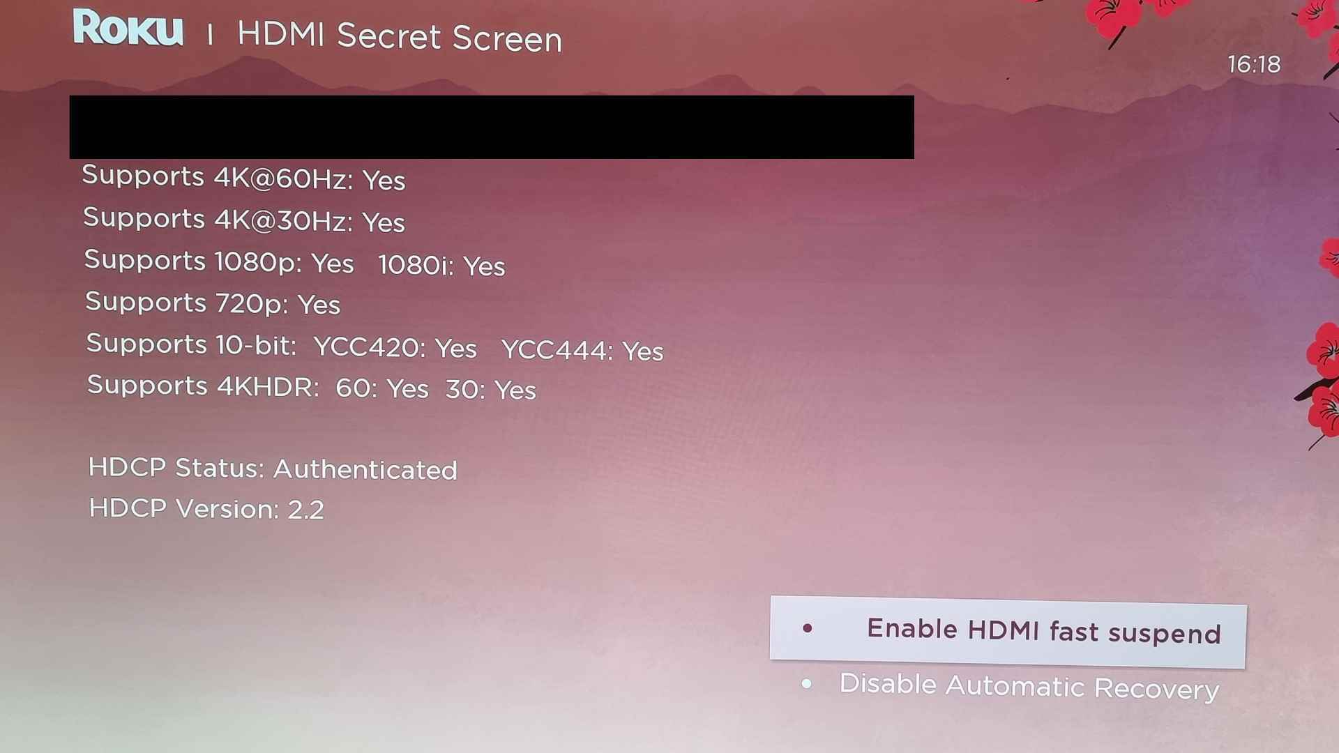 Roku HDMI gizli menüsü