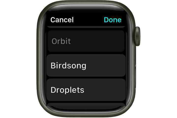 Apple Watch'ın birkaç alarm seçeneği vardır.