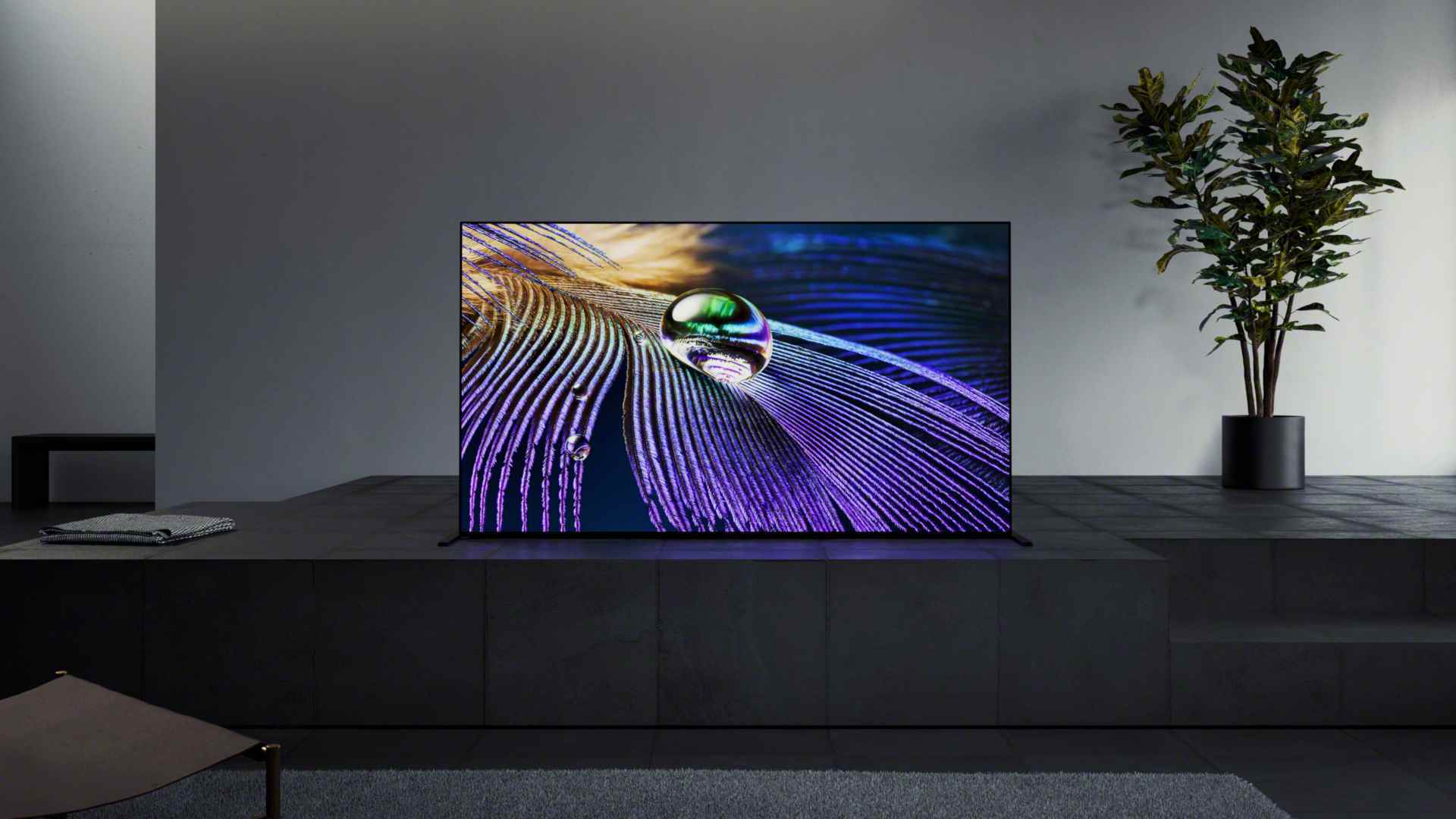 Koyu gri bir oturma odasındaki Sony A90J OLED TV, ekranda mor bir yüzey ve bir su damlasından oluşan yakın plan bir doğal sahne gösteriyor.