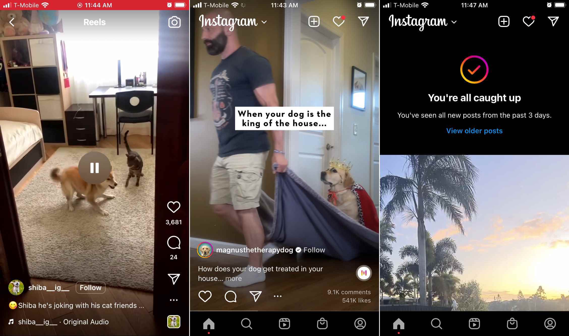 Instagram, güncellemeleri olan yeni Instagram feed'i örneği olan TikTok'tan kaldırılan karanlık desenlerle daha da kötüleşiyor