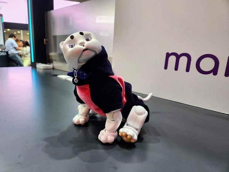 IFA 2022'de aynı anda iki sevimli robot kedi gösterildi