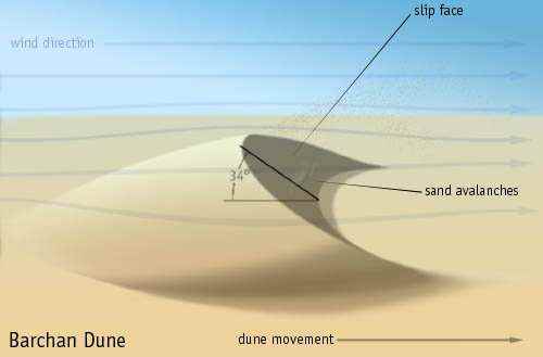 Mars'ta dönen rüzgarlarla yontulmuş güzel kum tepeleri