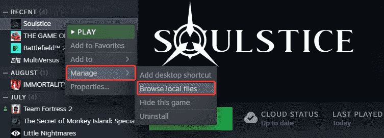 Soulstice'in çeşitli dosyalarına Steam kütüphanesinden erişebilirsiniz.
