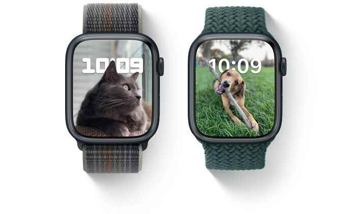 (Resim kredisi - Apple) Portreler yüzü artık üzerine köpeğinizin veya kedinizin resimlerini koymanıza olanak tanıyor.  - Apple WatchOS 9 çıktı: İşte denenecek 5 yeni özellik
