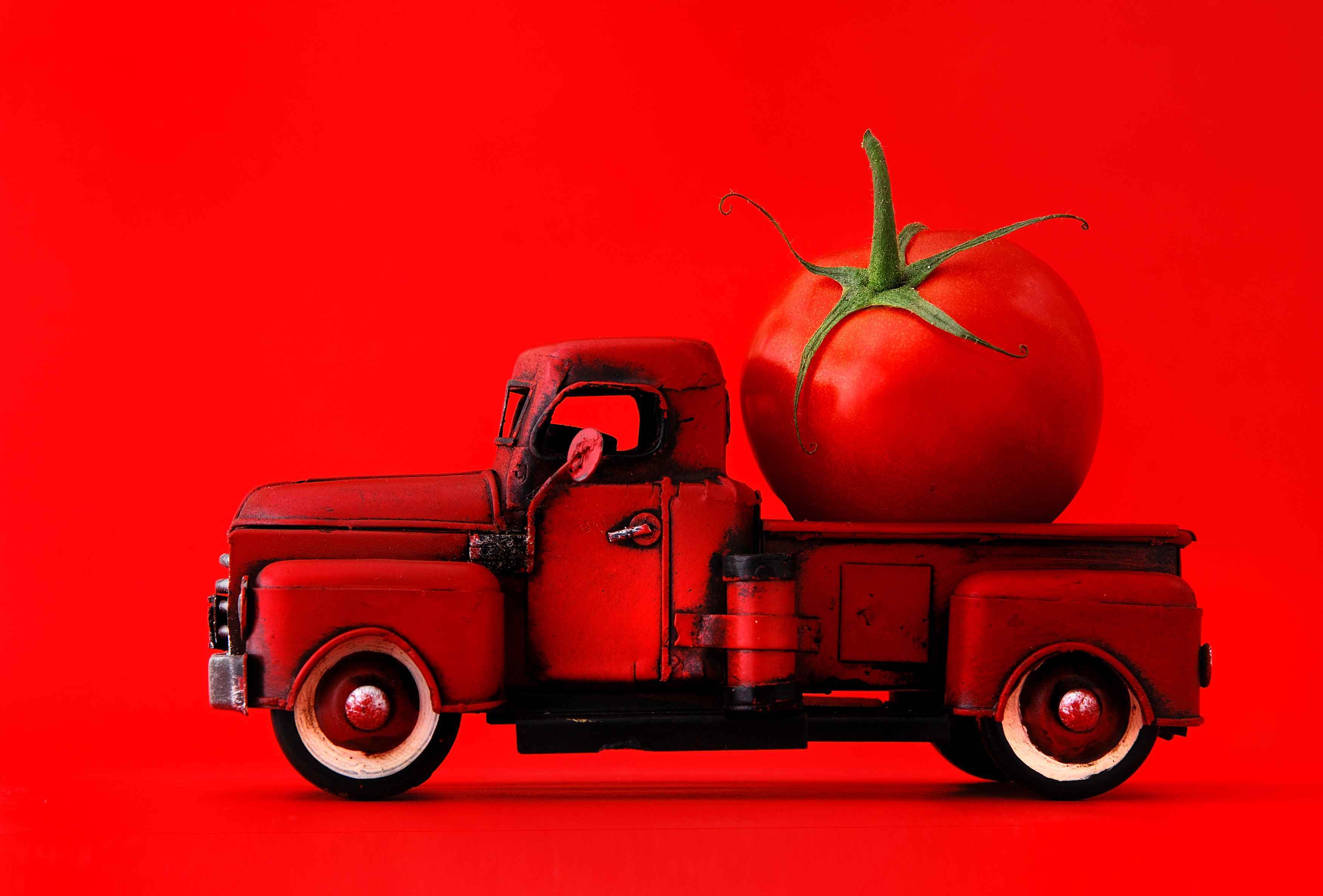 dev domates taşıyan kamyonet