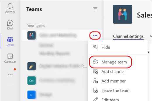 Microsoft Teams'deki Ekibi Yönet seçeneği.