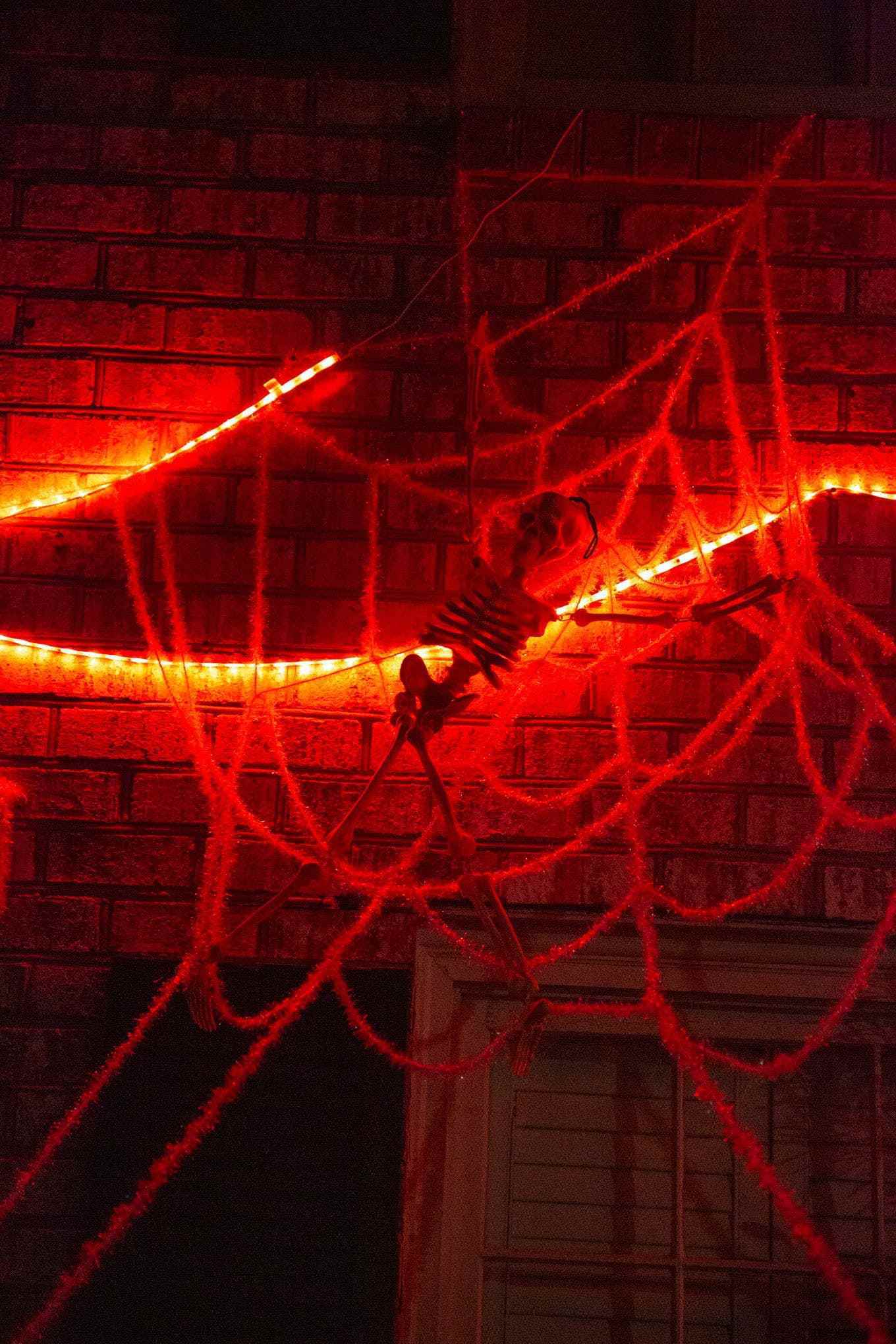 Bir evin yan tarafında sahte bir örümcek ağı içinde plastik bir iskelet