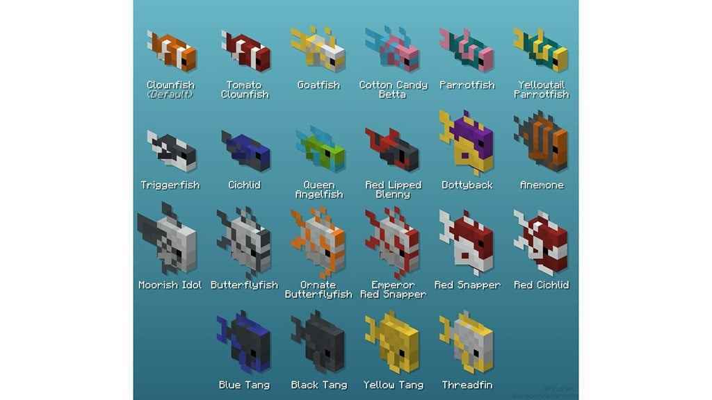 Minecraft'ta 22 benzersiz Tropikal Balık türü