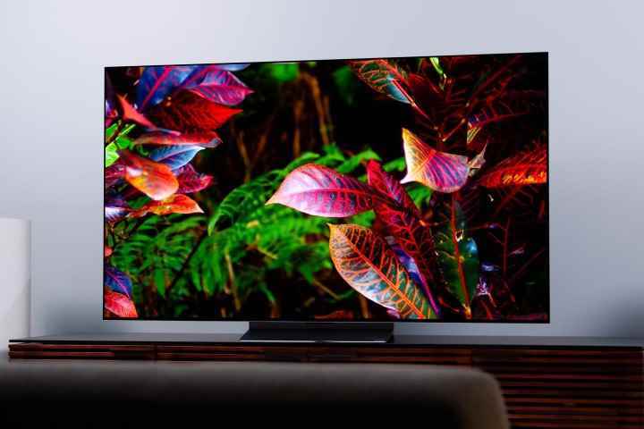 LG C2 OLED'deki renkli yaprakların görüntüsü.
