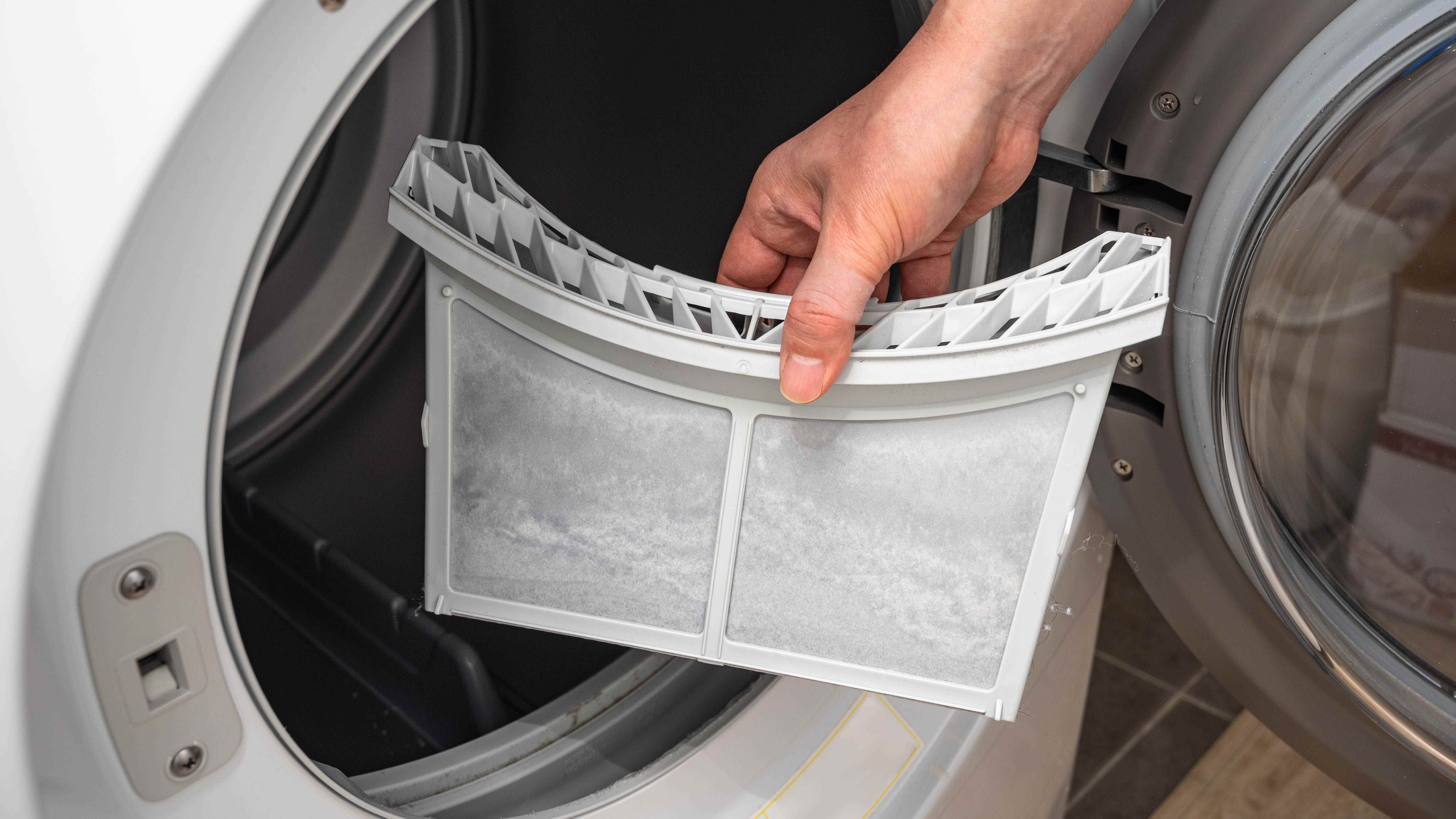 Bir çamaşır kurutma makinesinden çıkarılan bir tiftik filtresi