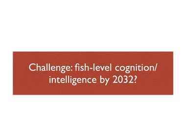 Zorluk: 2032'ye kadar balık düzeyinde bilişler/zeka?