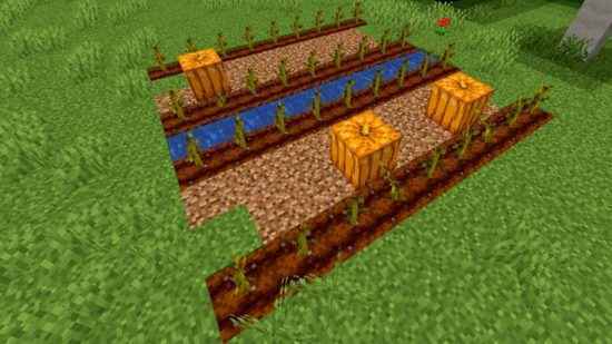 Minecraft balkabağı çiftliği: Minecraft'ta balkabağı yetiştirmenin en etkili yöntemine bir örnek