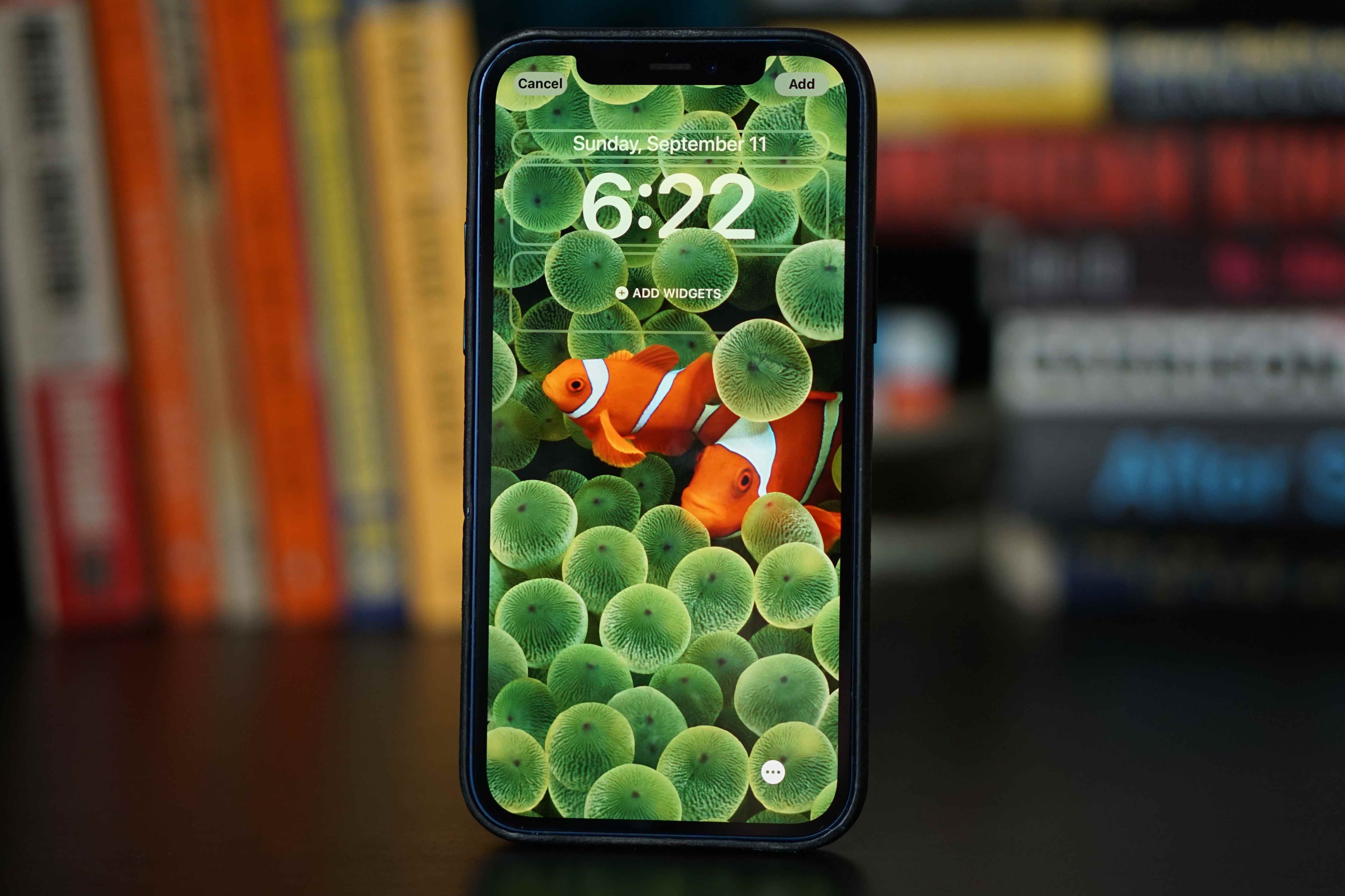 Kilit ekranını bir balık fotoğrafıyla özelleştiren, iOS 16 çalıştıran bir iPhone'un fotoğrafı.
