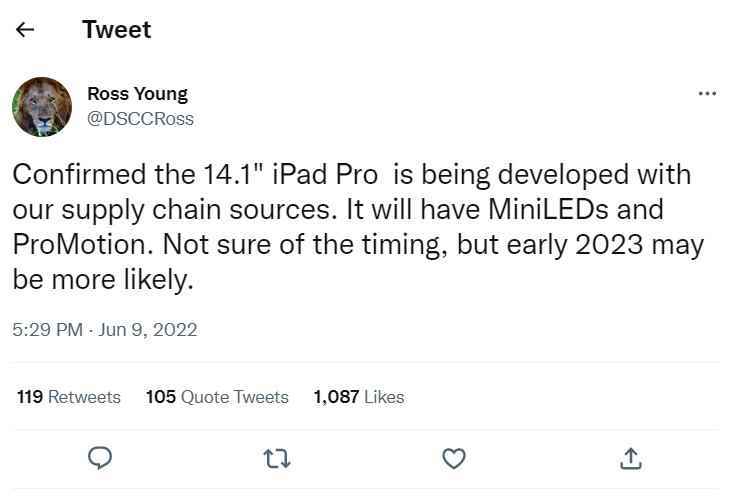 Young'ın Haziran'daki orijinal tweet'i (artık geçerli değil) - Üzgünüm!  Sektördeki kaynaklara göre yakın zamanda 14 inç iPad yok