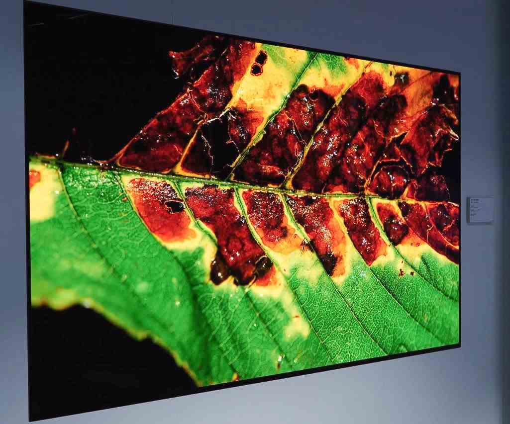 Meta teknolojisine sahip LG Display OLED TV