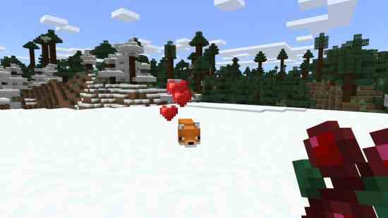 Minecraft fox - oyuncunun elindeki tatlı meyveler tarafından cezbedilen karda bir tilki.