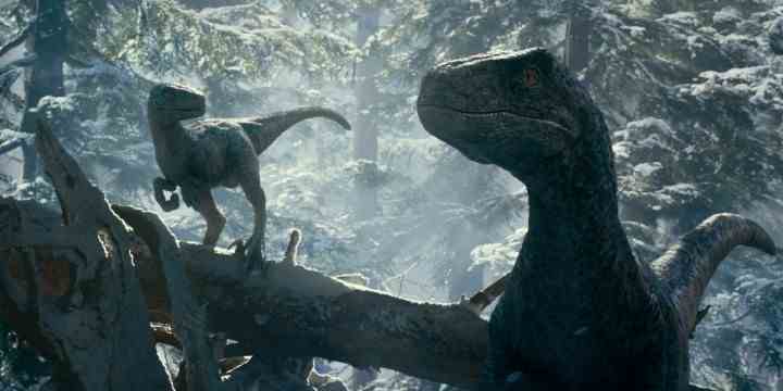 Jurassic World Dominion'dan bir sahnede bir çift velociraptor ormanda avlanıyor.