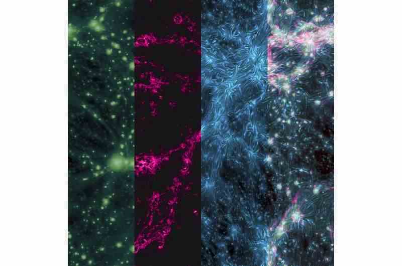 Polarize şok dalgaları evrenin kozmik ağını sallıyor