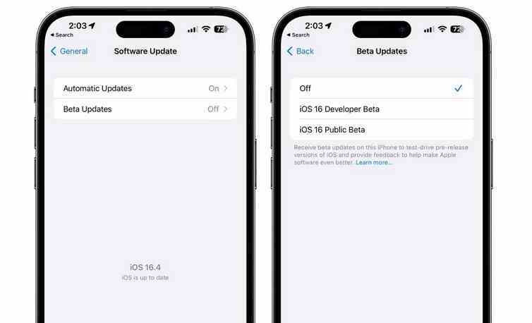 iOS 16.4 geliştirici beta, bir iPhone'dan geliştirici betaları almayı kolaylaştıran yeni bir özellik içerir Ayarlar - Apple'ın iOS 16.4 beta, yeni bir iPhone 14 Pro özelliği etkinleştirildiğinde pil ömrünün ne kadar kullanıldığını gösterir
