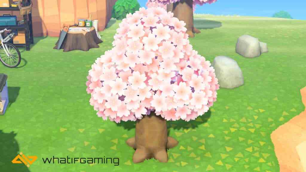 Animal Crossing'de bahar mevsiminden bir kiraz çiçeği ağacı
