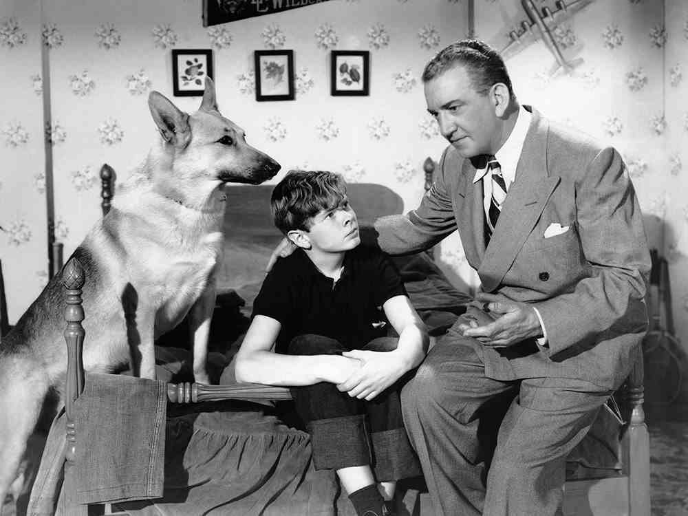 RUSTY LİDER YOLU, soldan, Alev köpeği, Ted Donaldson, John Litel, 1948